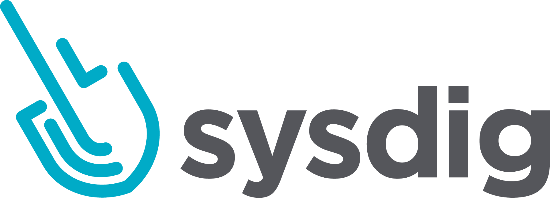 sysdig_Horz_Color_Logo_RGB_lrg